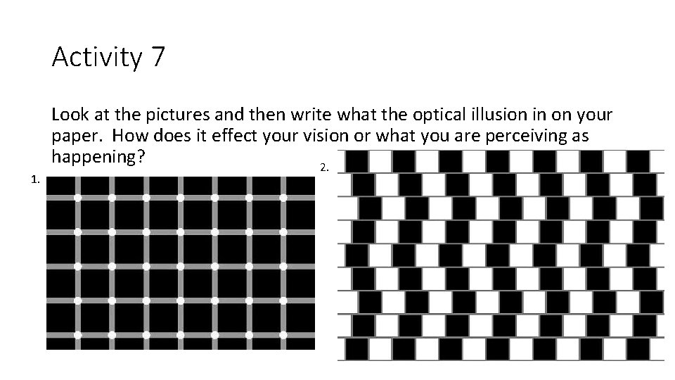 Activity 7 1. Look at the pictures and then write what the optical illusion