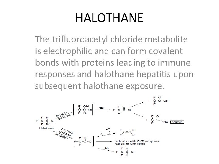 HALOTHANE The trifluoroacetyl chloride metabolite is electrophilic and can form covalent bonds with proteins
