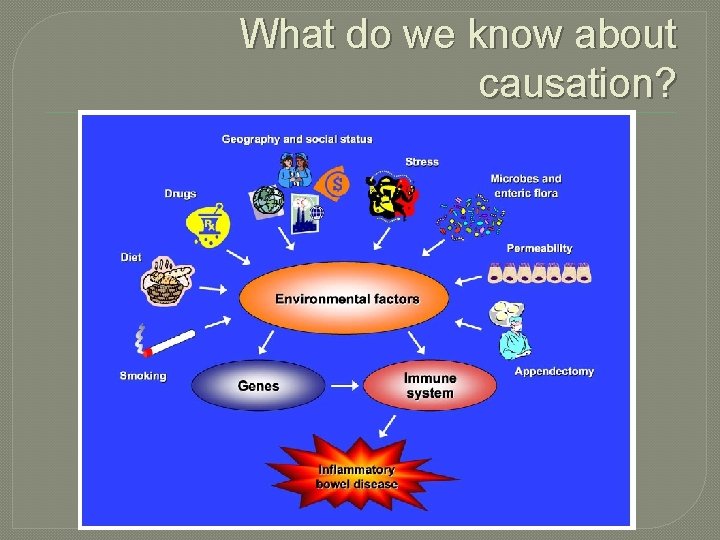 What do we know about causation? 
