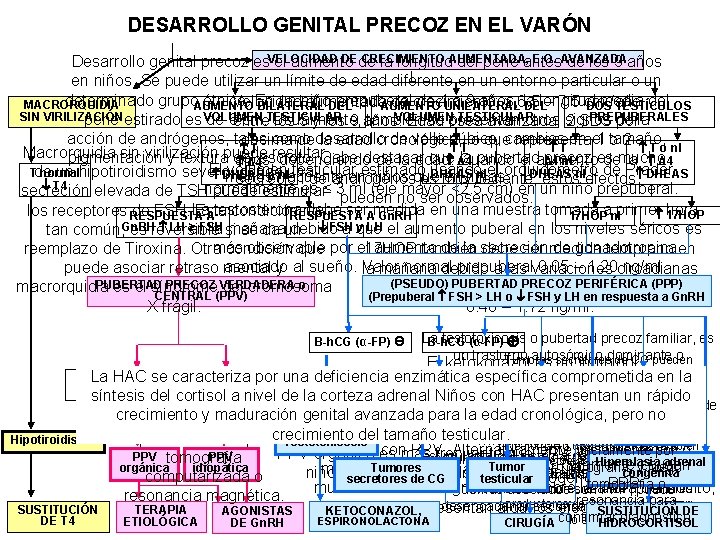 DESARROLLO GENITAL PRECOZ EN EL VARÓN DEde CRECIMIENTO E. O. AVANZADA Desarrollo genital precoz