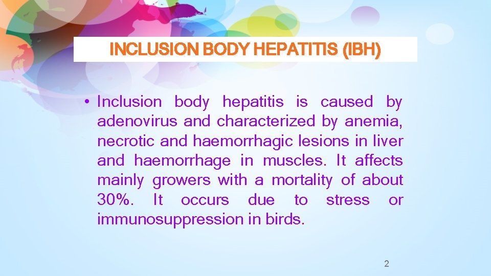 INCLUSION BODY HEPATITIS (IBH) • Inclusion body hepatitis is caused by adenovirus and characterized