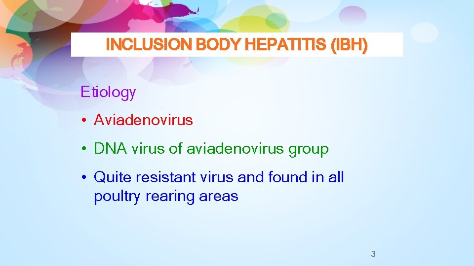 INCLUSION BODY HEPATITIS (IBH) Etiology • Aviadenovirus • DNA virus of aviadenovirus group •