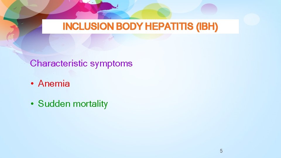 INCLUSION BODY HEPATITIS (IBH) Characteristic symptoms • Anemia • Sudden mortality 5 