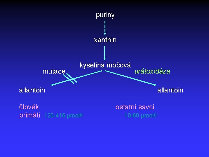 puriny xanthin mutace kyselina močová urátoxidáza allantoin člověk primáti 120 -416 μmol/l allantoin ostatní