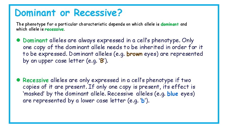 Dominant or Recessive? The phenotype for a particular characteristic depends on which allele is