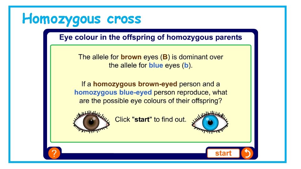 Homozygous cross Homozygous cross