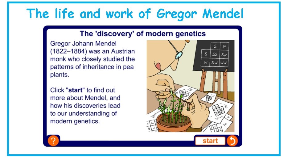 The life and work of Gregor Mendel 