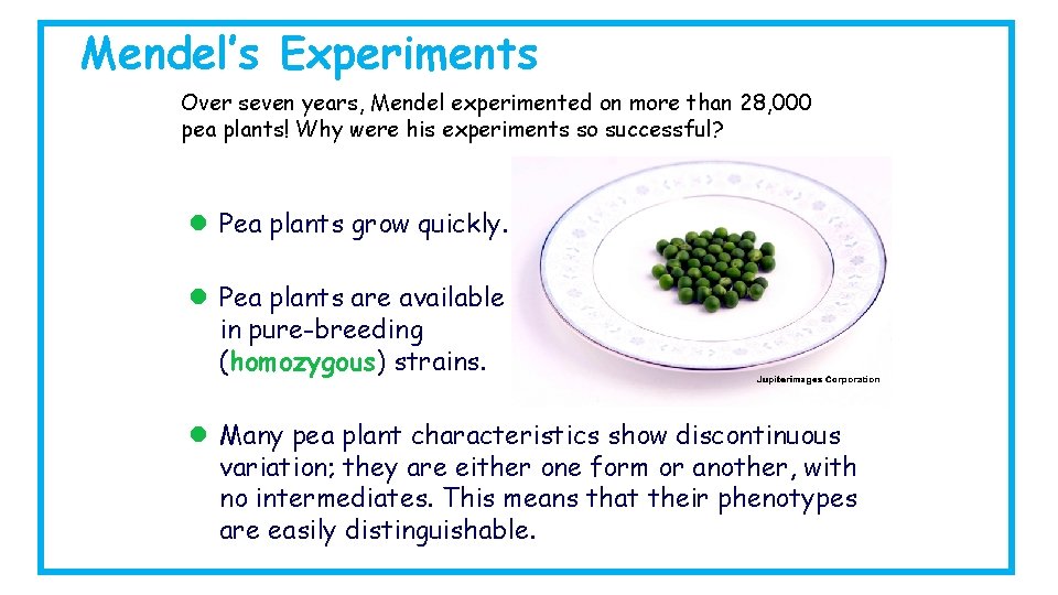 Mendel’s Experiments Over seven years, Mendel experimented on more than 28, 000 pea plants!