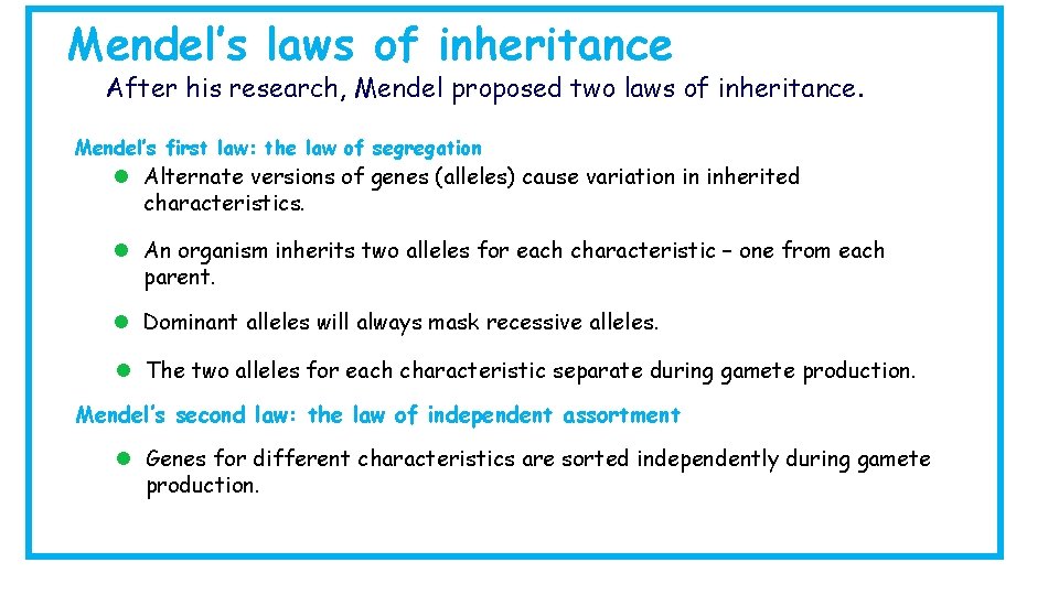 Mendel’s laws of inheritance After his research, Mendel proposed two laws of inheritance. Mendel’s