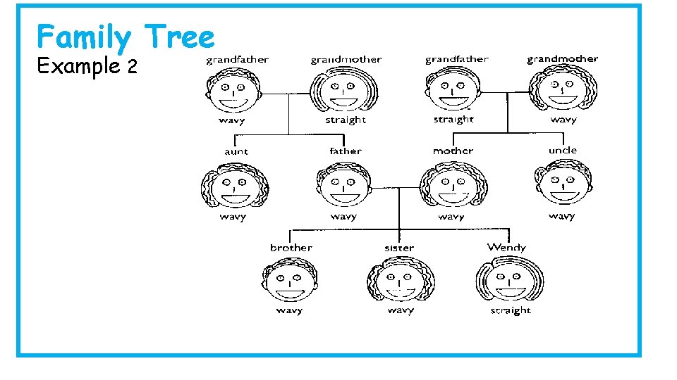 Family Tree Example 2 Family Tree Example 2