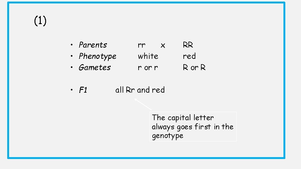 (1) • Parents • Phenotype • Gametes • F 1 rr x white r (1) • Parents • Phenotype • Gametes • F 1 rr x white r