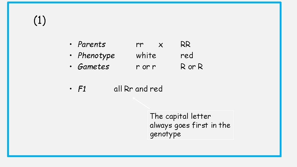 (1) • Parents • Phenotype • Gametes • F 1 rr x white r