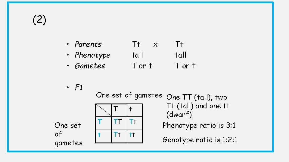 (2) • Parents • Phenotype • Gametes • F 1 One set of gametes (2) • Parents • Phenotype • Gametes • F 1 One set of gametes