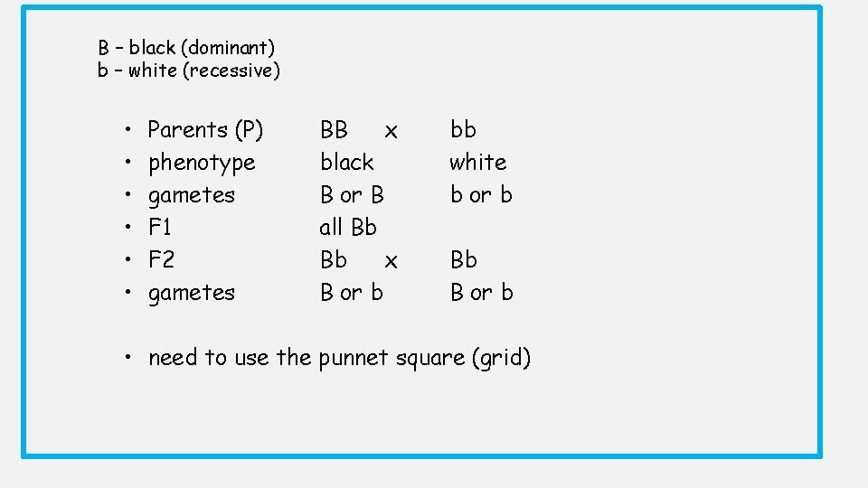 B – black (dominant) b – white (recessive) • • • Parents (P) phenotype B – black (dominant) b – white (recessive) • • • Parents (P) phenotype