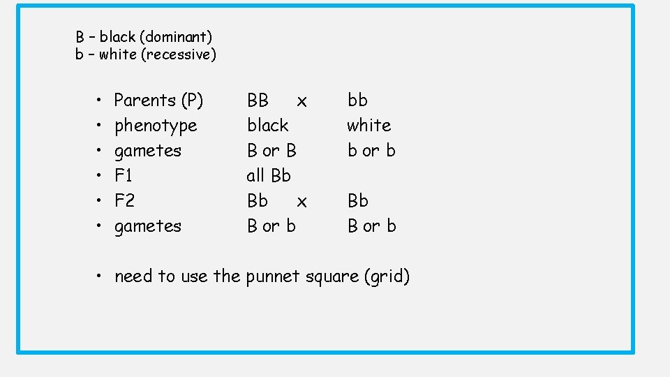 B – black (dominant) b – white (recessive) • • • Parents (P) phenotype