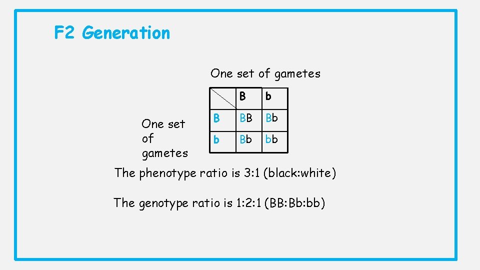F 2 Generation One set of gametes B b B BB Bb bb The F 2 Generation One set of gametes B b B BB Bb bb The