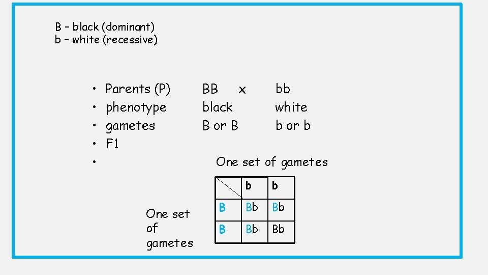 B – black (dominant) b – white (recessive) • • • Parents (P) phenotype