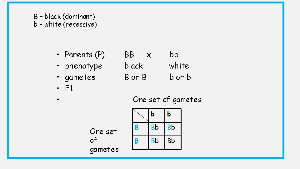 B – black (dominant) b – white (recessive) • • • Parents (P) phenotype B – black (dominant) b – white (recessive) • • • Parents (P) phenotype