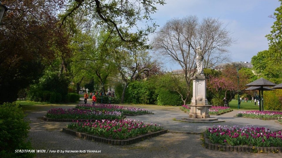 STADTPARK WIEN / Foto © by Hermann Kolb Vienna. at 