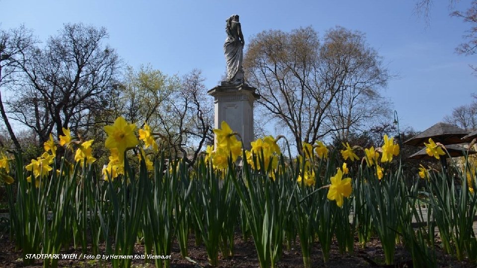 STADTPARK WIEN / Foto © by Hermann Kolb Vienna. at 