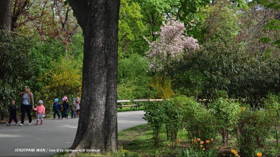 STADTPARK WIEN / Foto © by Hermann Kolb Vienna. at 