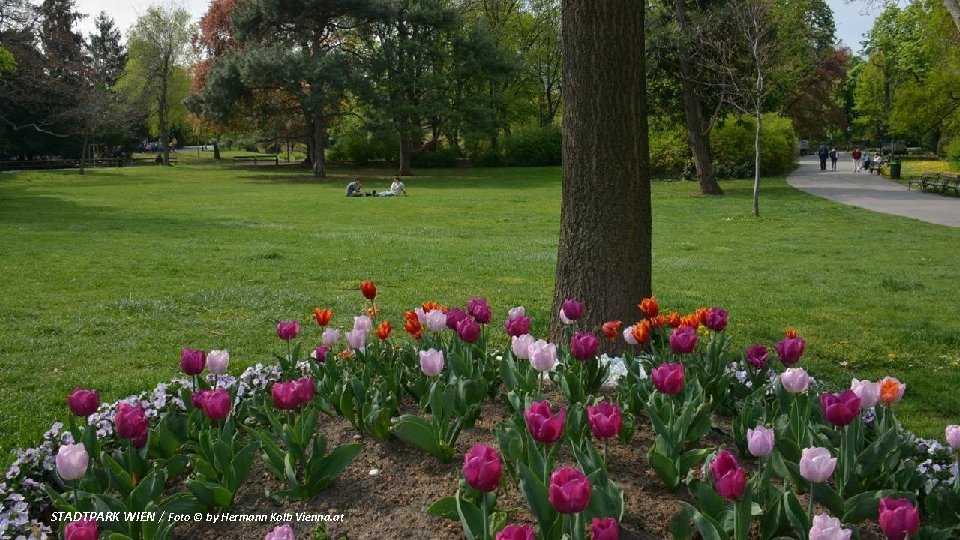 STADTPARK WIEN / Foto © by Hermann Kolb Vienna. at 