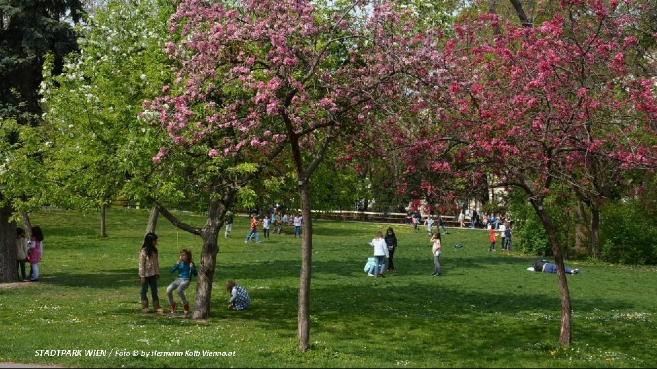 STADTPARK WIEN / Foto © by Hermann Kolb Vienna. at 