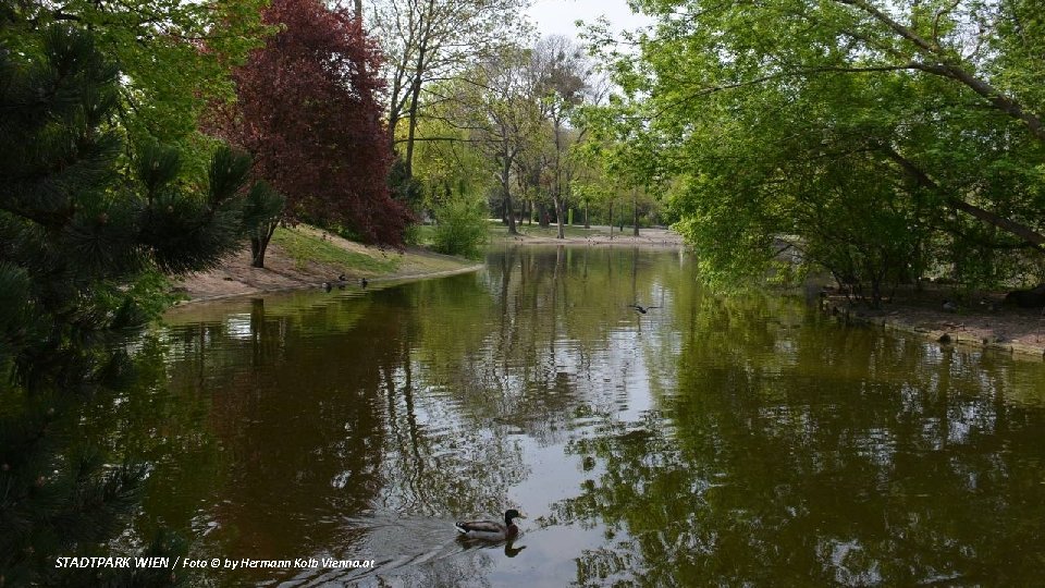 STADTPARK WIEN / Foto © by Hermann Kolb Vienna. at 