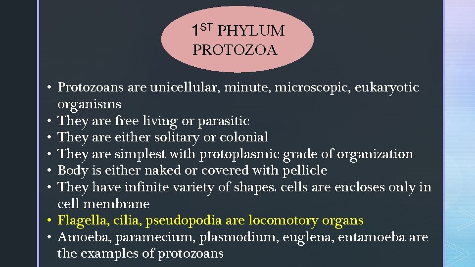 1 ST PHYLUM PROTOZOA • Protozoans are unicellular, minute, microscopic, eukaryotic organisms • They 1 ST PHYLUM PROTOZOA • Protozoans are unicellular, minute, microscopic, eukaryotic organisms • They