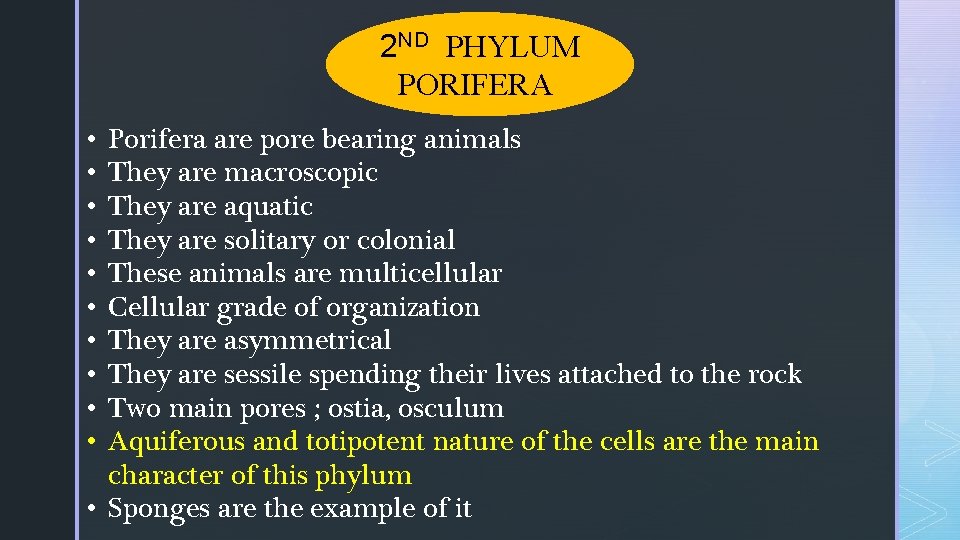 2 ND PHYLUM PORIFERA Porifera are pore bearing animals They are macroscopic They are 2 ND PHYLUM PORIFERA Porifera are pore bearing animals They are macroscopic They are