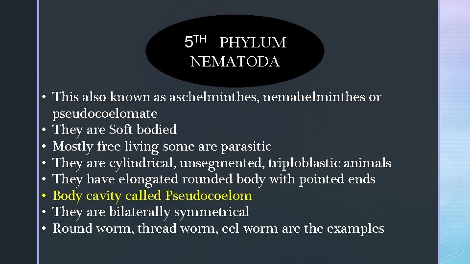 5 TH PHYLUM NEMATODA • This also known as aschelminthes, nemahelminthes or pseudocoelomate • 5 TH PHYLUM NEMATODA • This also known as aschelminthes, nemahelminthes or pseudocoelomate •