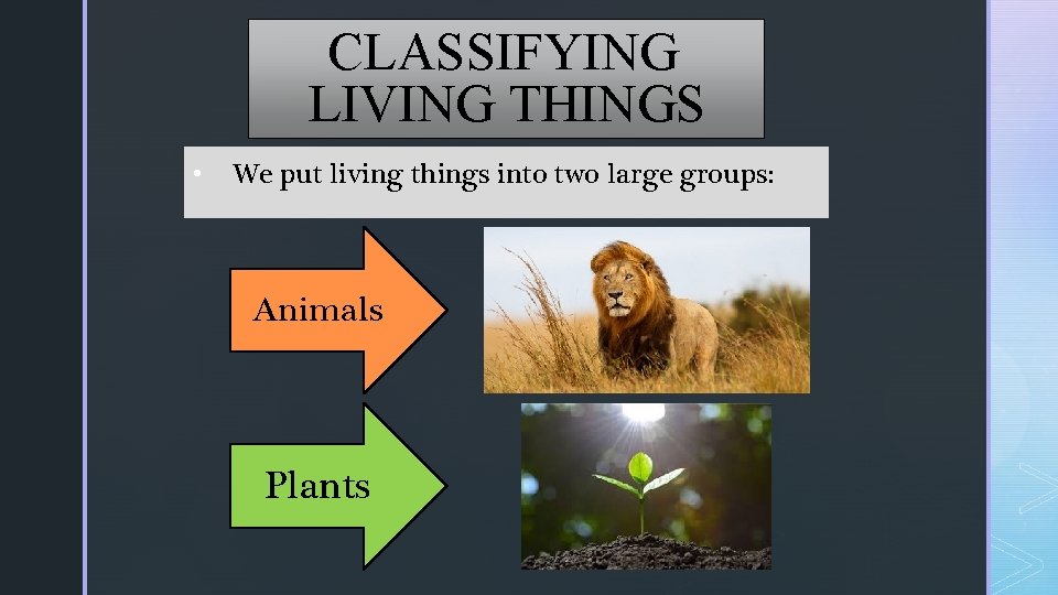 CLASSIFYING LIVING THINGS • We put living things into two large groups: Animals Plants CLASSIFYING LIVING THINGS • We put living things into two large groups: Animals Plants