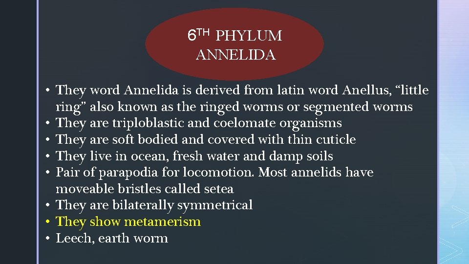 6 TH PHYLUM ANNELIDA • They word Annelida is derived from latin word Anellus, 6 TH PHYLUM ANNELIDA • They word Annelida is derived from latin word Anellus,