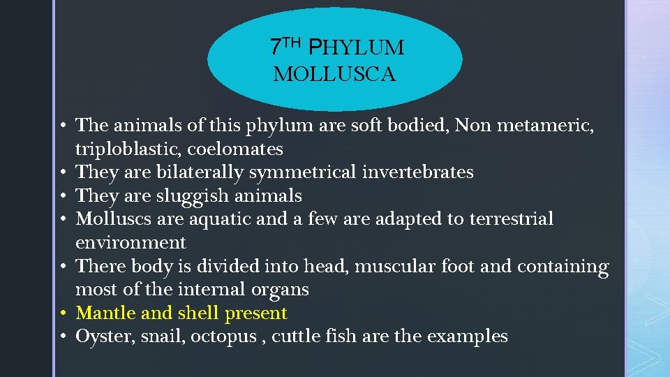 7 TH PHYLUM MOLLUSCA • The animals of this phylum are soft bodied, Non 7 TH PHYLUM MOLLUSCA • The animals of this phylum are soft bodied, Non