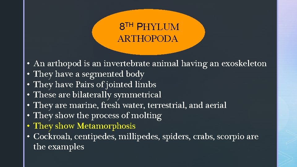 8 TH PHYLUM ARTHOPODA • • An arthopod is an invertebrate animal having an 8 TH PHYLUM ARTHOPODA • • An arthopod is an invertebrate animal having an