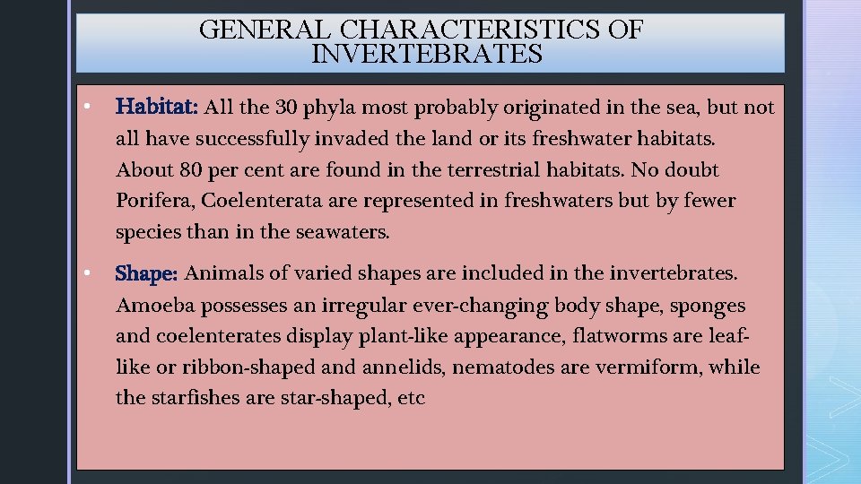 GENERAL CHARACTERISTICS OF INVERTEBRATES • Habitat: All the 30 phyla most probably originated in GENERAL CHARACTERISTICS OF INVERTEBRATES • Habitat: All the 30 phyla most probably originated in