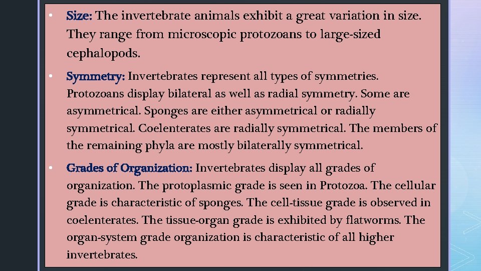• Size: The invertebrate animals exhibit a great variation in size. They range • Size: The invertebrate animals exhibit a great variation in size. They range