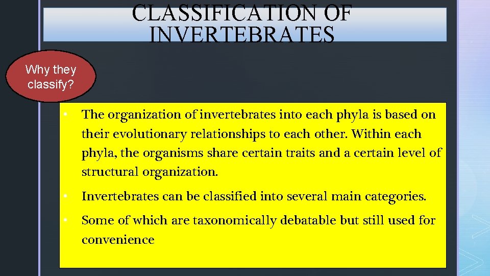 CLASSIFICATION OF INVERTEBRATES Why they classify? • The organization of invertebrates into each phyla CLASSIFICATION OF INVERTEBRATES Why they classify? • The organization of invertebrates into each phyla