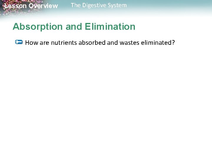 Lesson Overview The Digestive System Absorption and Elimination How are nutrients absorbed and wastes Lesson Overview The Digestive System Absorption and Elimination How are nutrients absorbed and wastes
