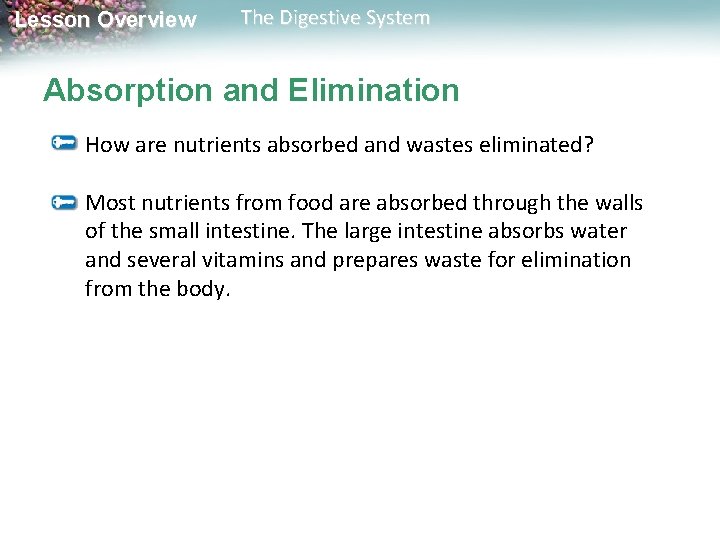 Lesson Overview The Digestive System Absorption and Elimination How are nutrients absorbed and wastes Lesson Overview The Digestive System Absorption and Elimination How are nutrients absorbed and wastes