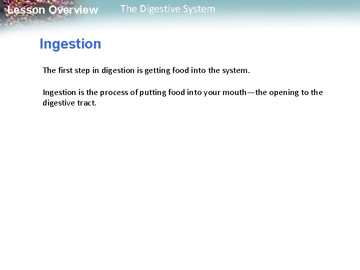 Lesson Overview The Digestive System Ingestion The first step in digestion is getting food Lesson Overview The Digestive System Ingestion The first step in digestion is getting food