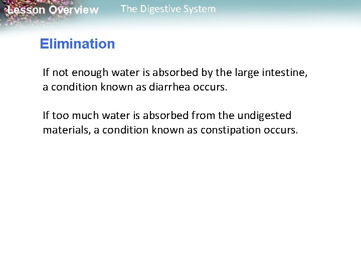 Lesson Overview The Digestive System Elimination If not enough water is absorbed by the Lesson Overview The Digestive System Elimination If not enough water is absorbed by the