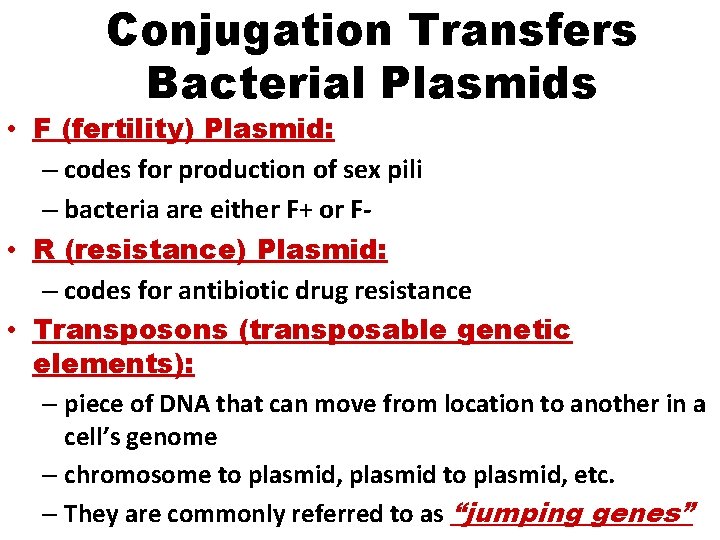 Conjugation Transfers Bacterial Plasmids • F (fertility) Plasmid: – codes for production of sex