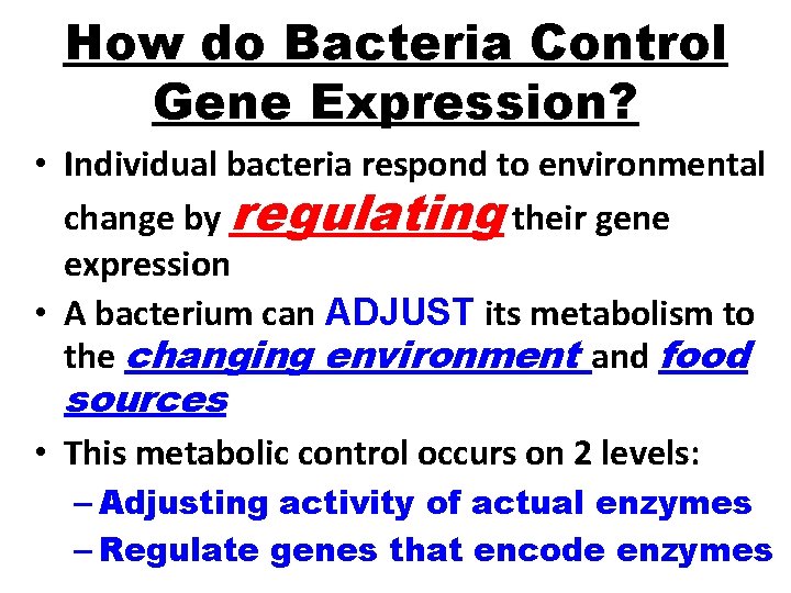 How do Bacteria Control Gene Expression? • Individual bacteria respond to environmental change by