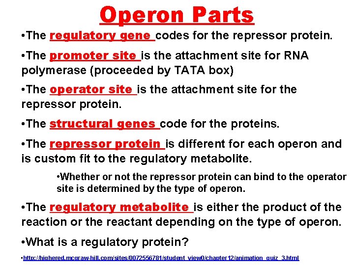 Operon Parts • The regulatory gene codes for the repressor protein. • The promoter