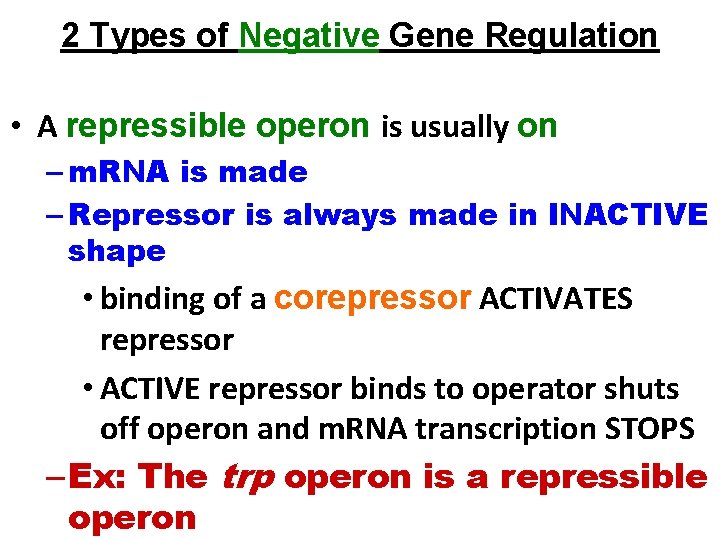 2 Types of Negative Gene Regulation • A repressible operon is usually on –