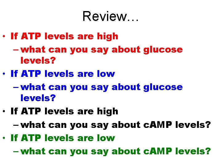 Review… • If ATP levels are high – what can you say about levels?