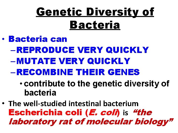 Genetic Diversity of Bacteria • Bacteria can – REPRODUCE VERY QUICKLY – MUTATE VERY