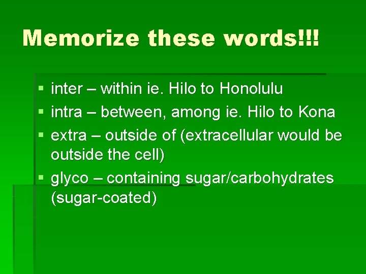 Memorize these words!!! § § § inter – within ie. Hilo to Honolulu intra