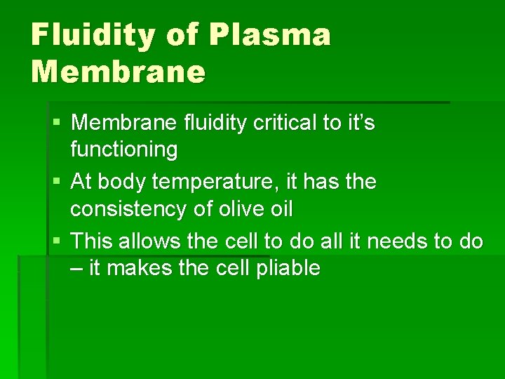 Fluidity of Plasma Membrane § Membrane fluidity critical to it’s functioning § At body